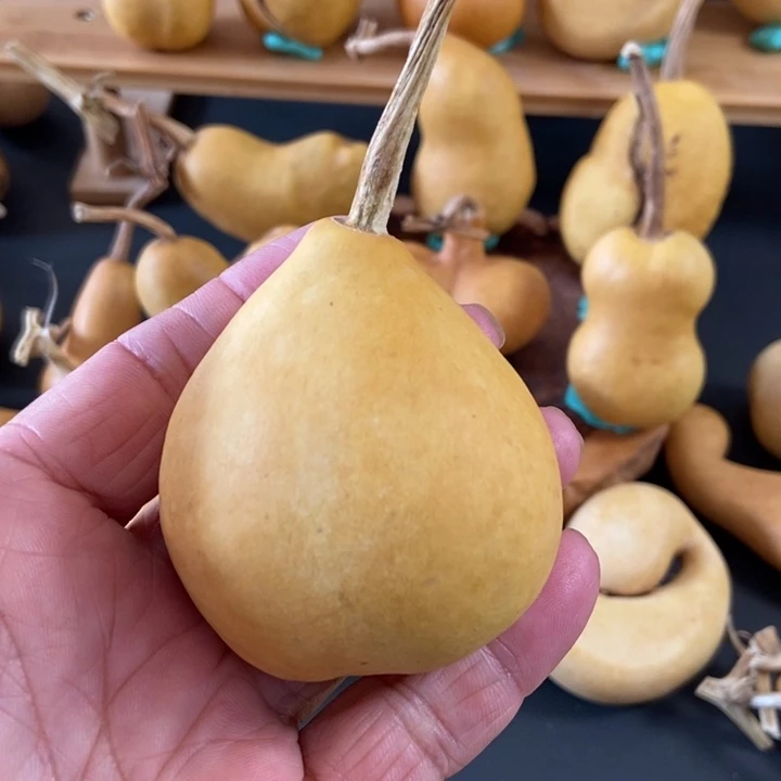 大***纸ejdkekkddkskwksddd