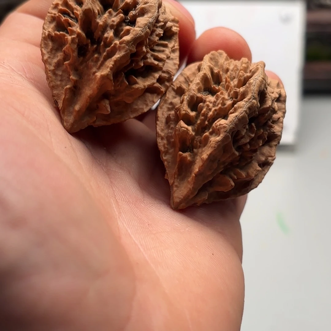 把件文玩核桃小蛙蛙251