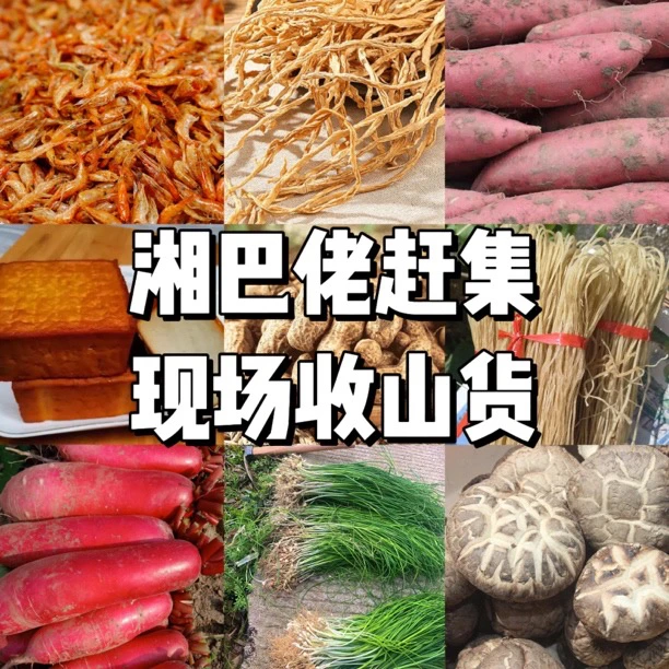 新农家干货 农村自制酸菜 农户萝卜菜 咸菜