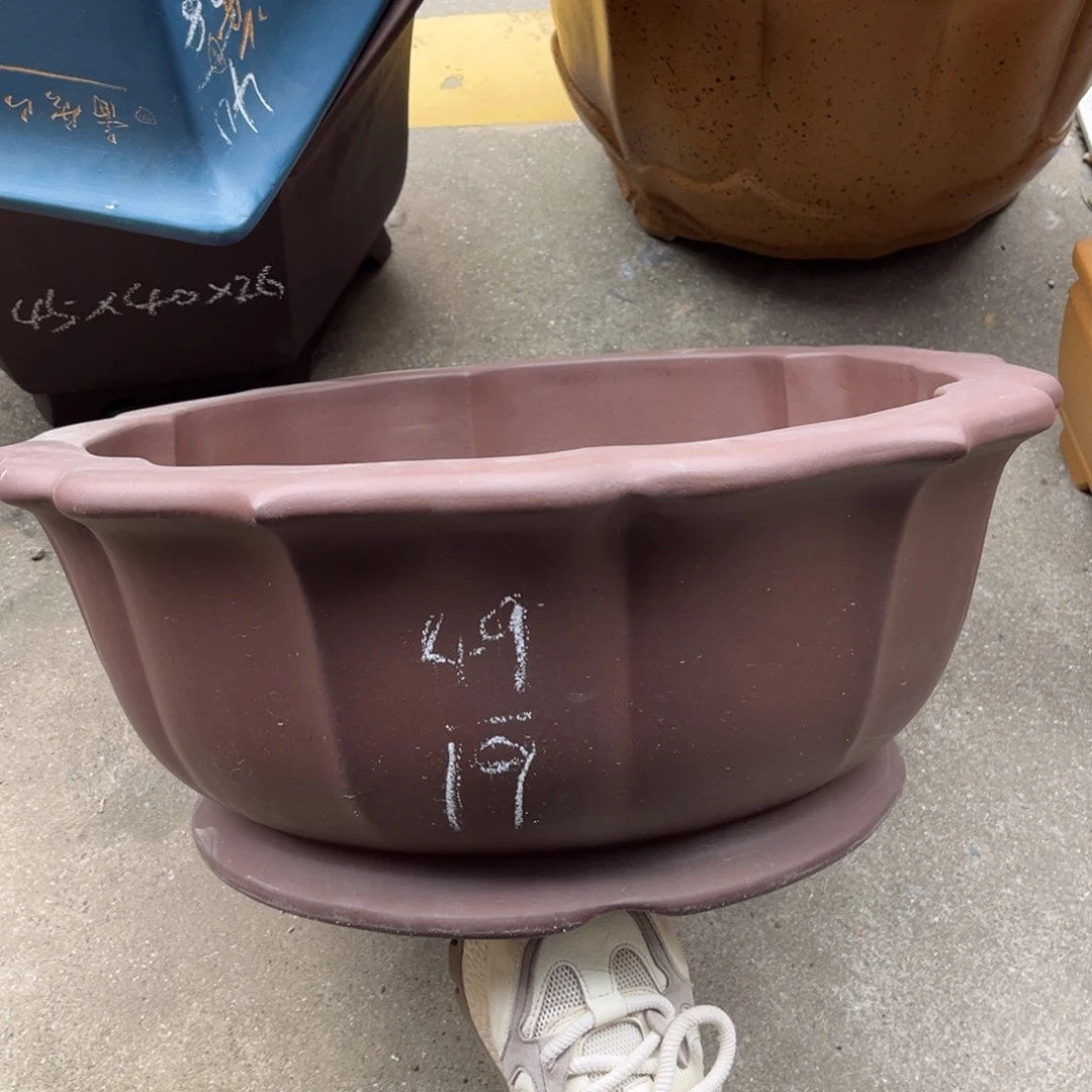 紫砂花盆盆景艺术