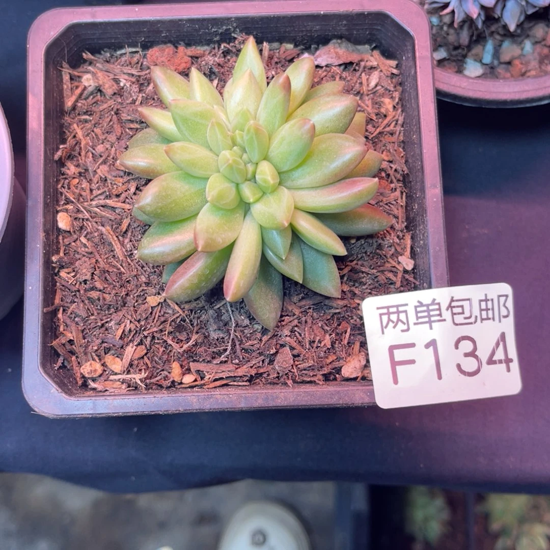 哈哈哈哈哈哈哈哈134