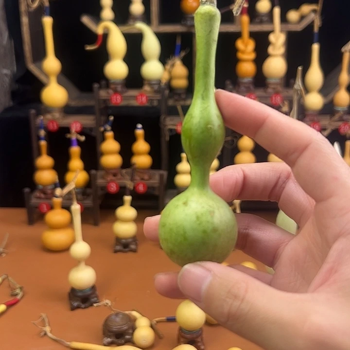 惠***峰葫芦笙等乐器的演奏