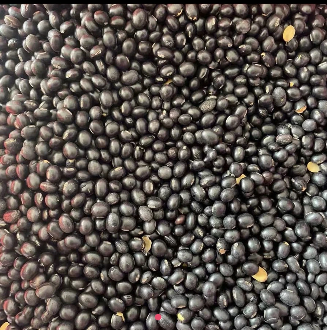 赛鸽专用炒黑豆鸽子炒黑豆5斤