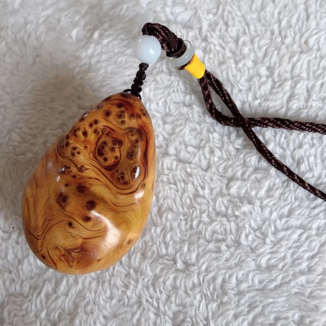 柏木（崖柏）明*见太行崖柏