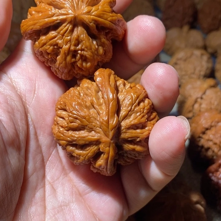 春***天文玩核桃把件核桃