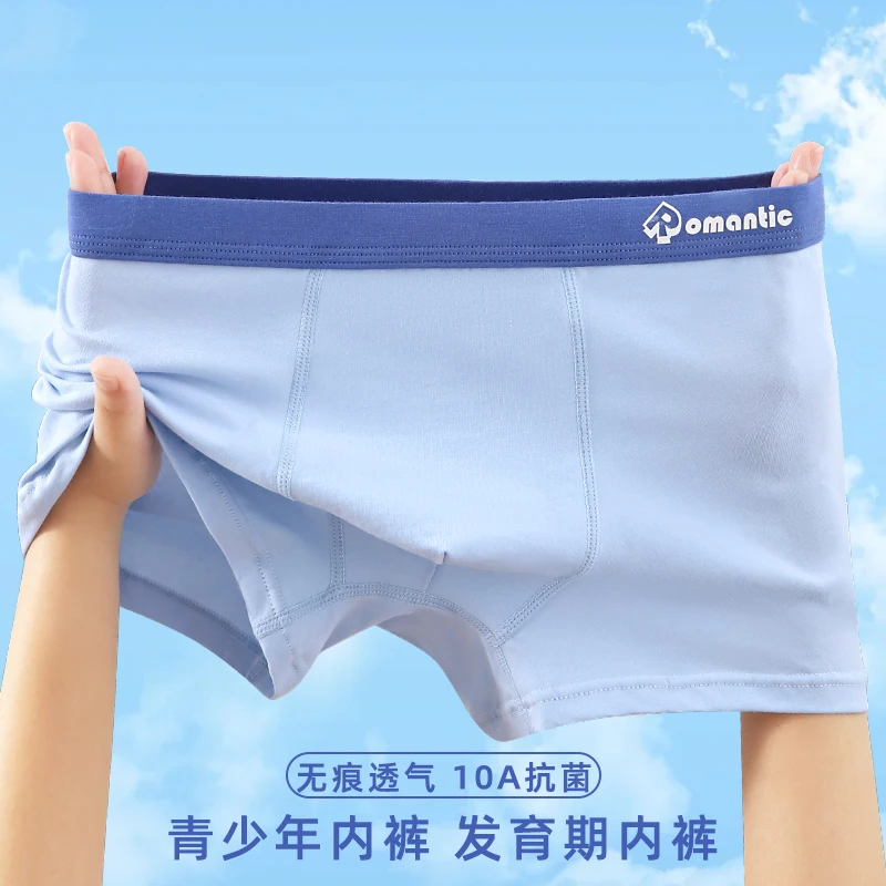 泰恩熊青少年内裤纯棉抗菌平角裤发育学生初高中生胖大童男童内裤