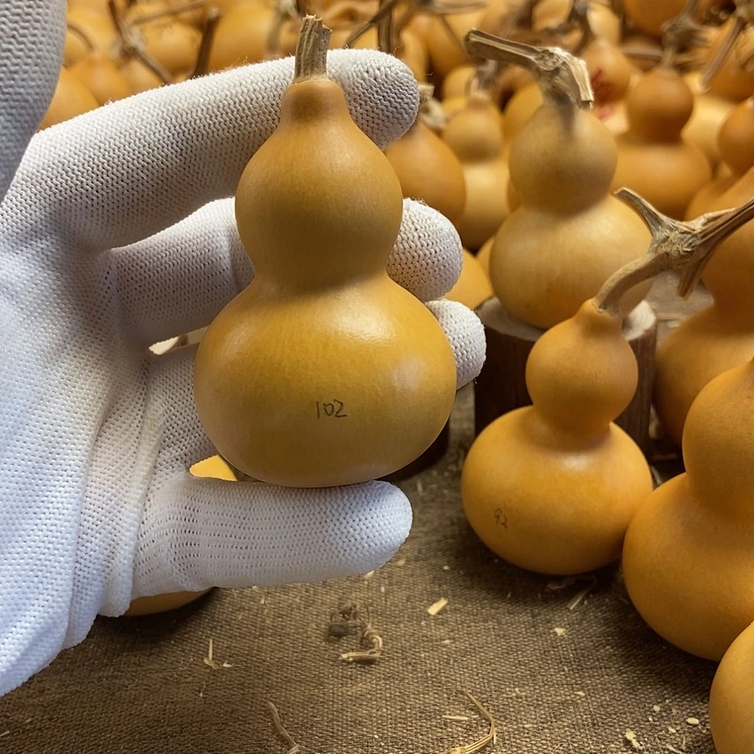 文玩葫芦 完美主义者 慎拍102