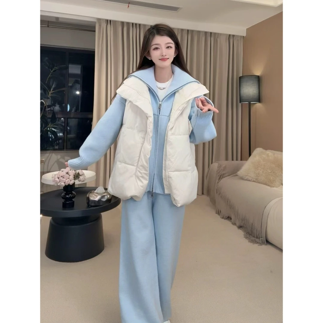 新款时尚洋气百搭女装宽松秋冬马甲女款2025新款爆款女款外穿上衣