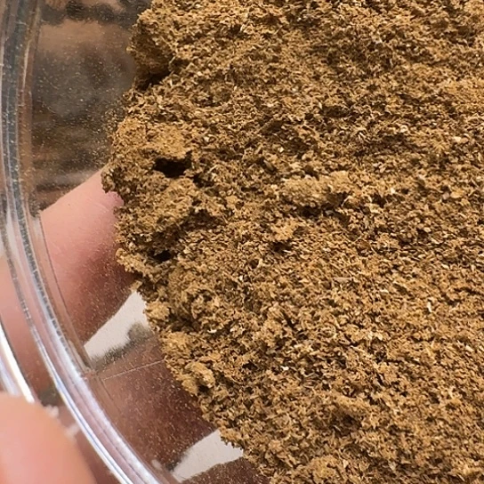 静水莱特莱特莱特莱特