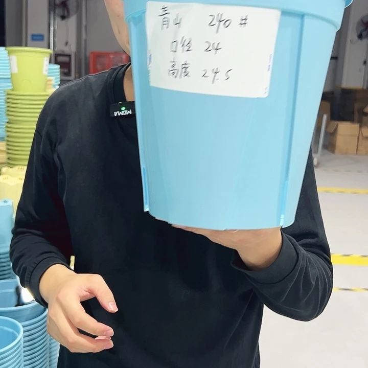 青山口24高24白色5只无托