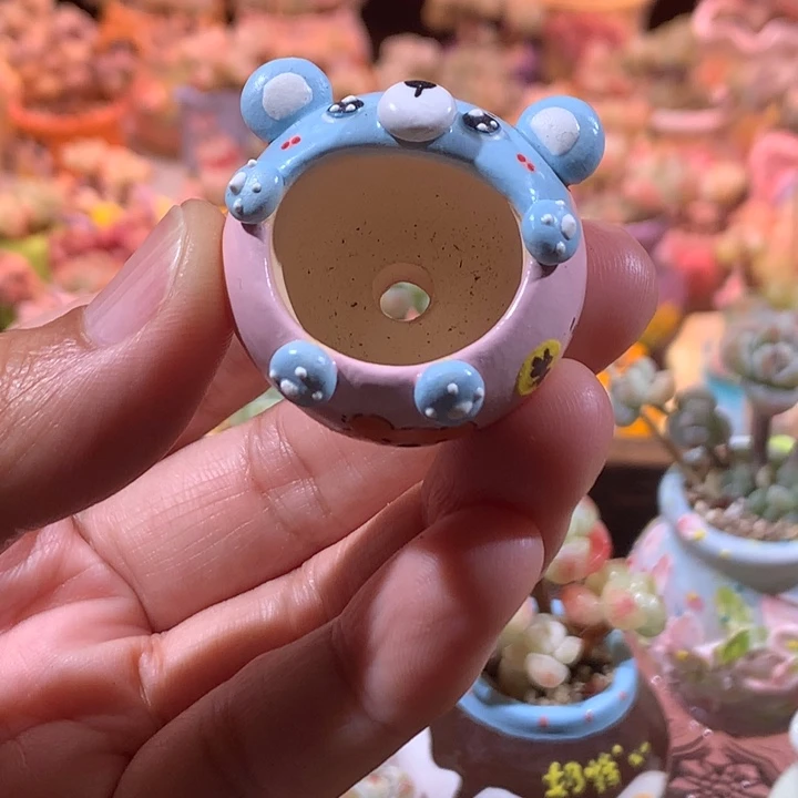 内口2  满100包邮