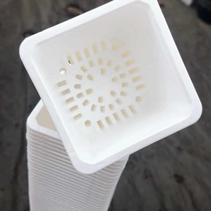 100白方盆9公分高7公分12个