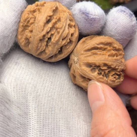 把件文玩核桃秦岭核桃18