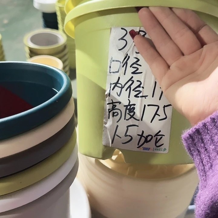 四季3号果绿无托10个特价微瑕