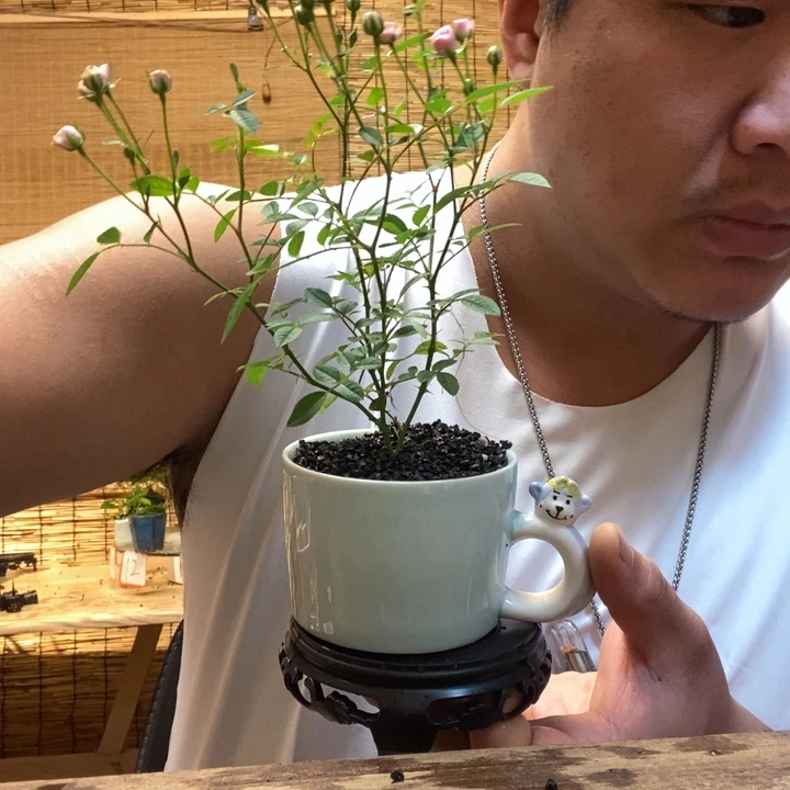一物一拍所见即所得136