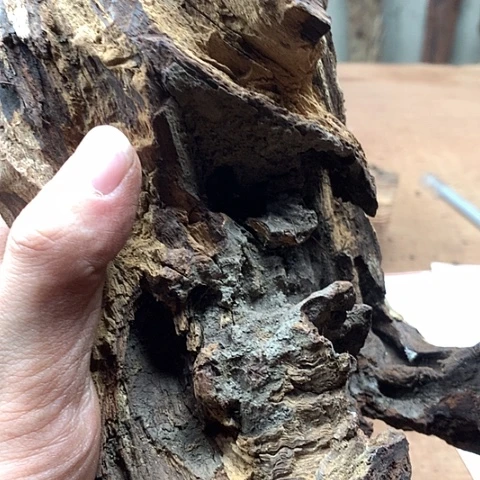 黄花梨/降香黄檀“****！1.5圆珠一串
