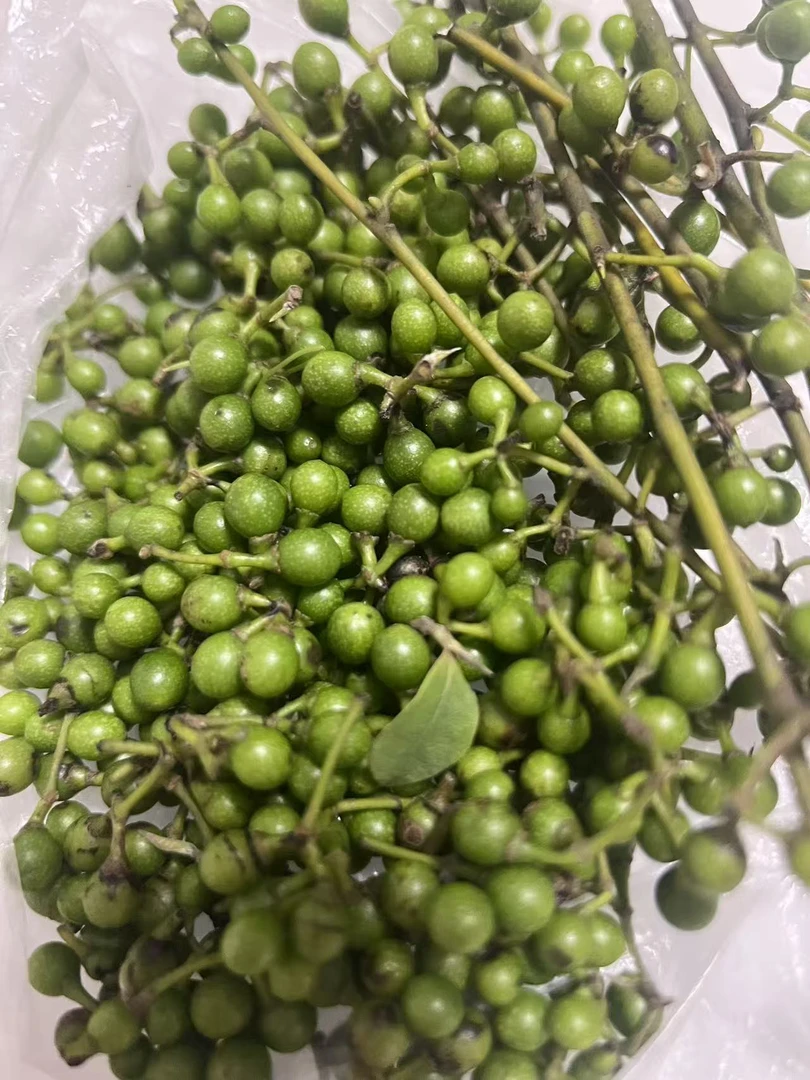 新鲜现摘山胡椒木姜子