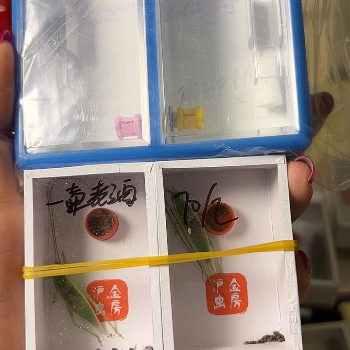 一***酒蟋蟀哈哈哈哈哈哈哈哈哈哈哈