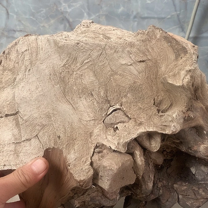 一***刻大叶紫檀（黑酸枝木类）