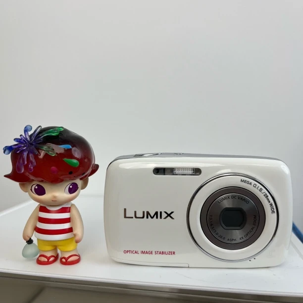 95新 Panasonic/松下 松下s1清透色彩饱和氛围感送相机包