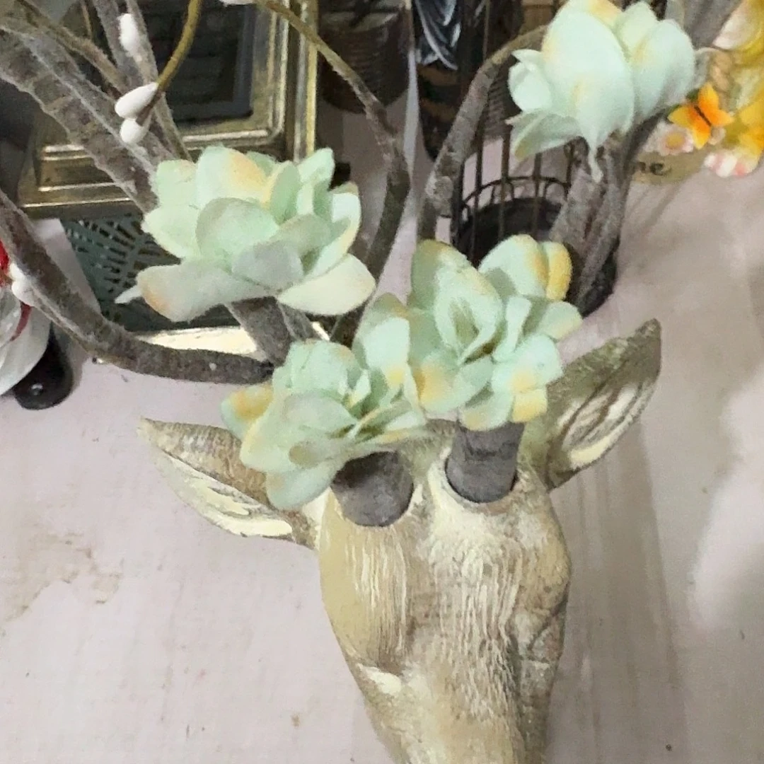 核桃木/黑胡桃（胡桃木）