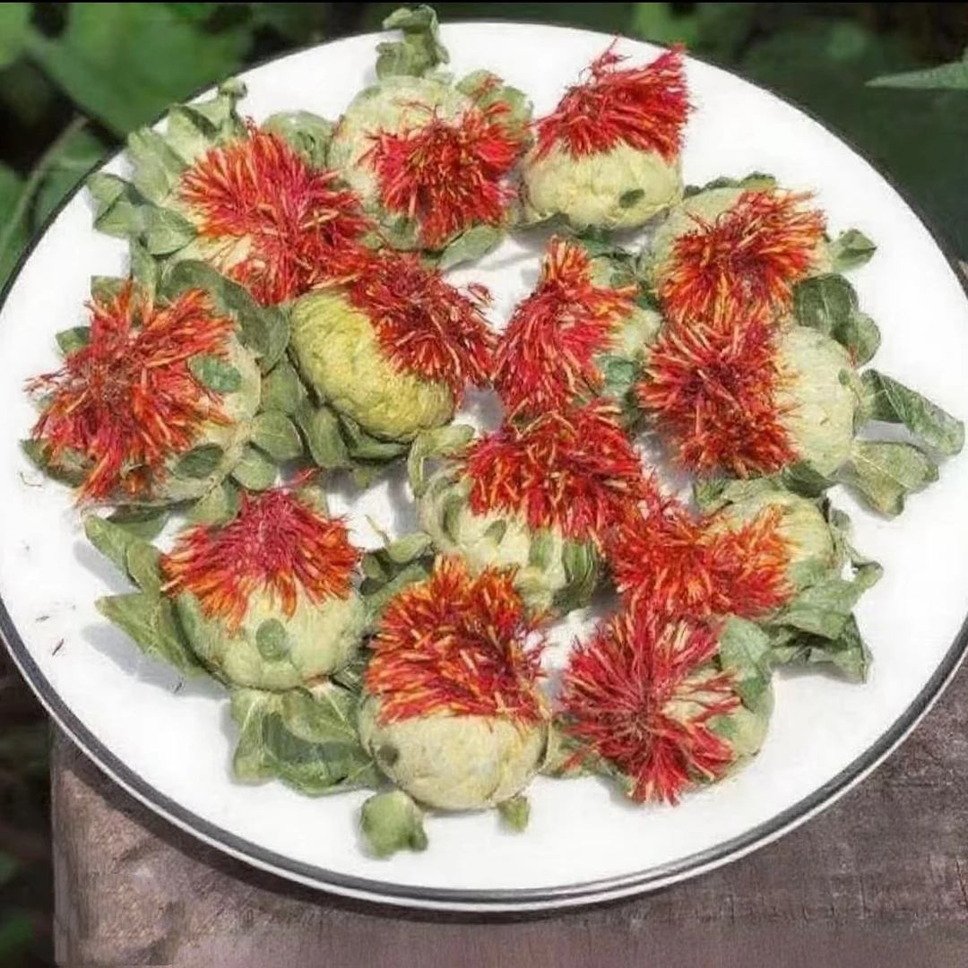 精选高海拔【雪蒂花】-燕祥专属