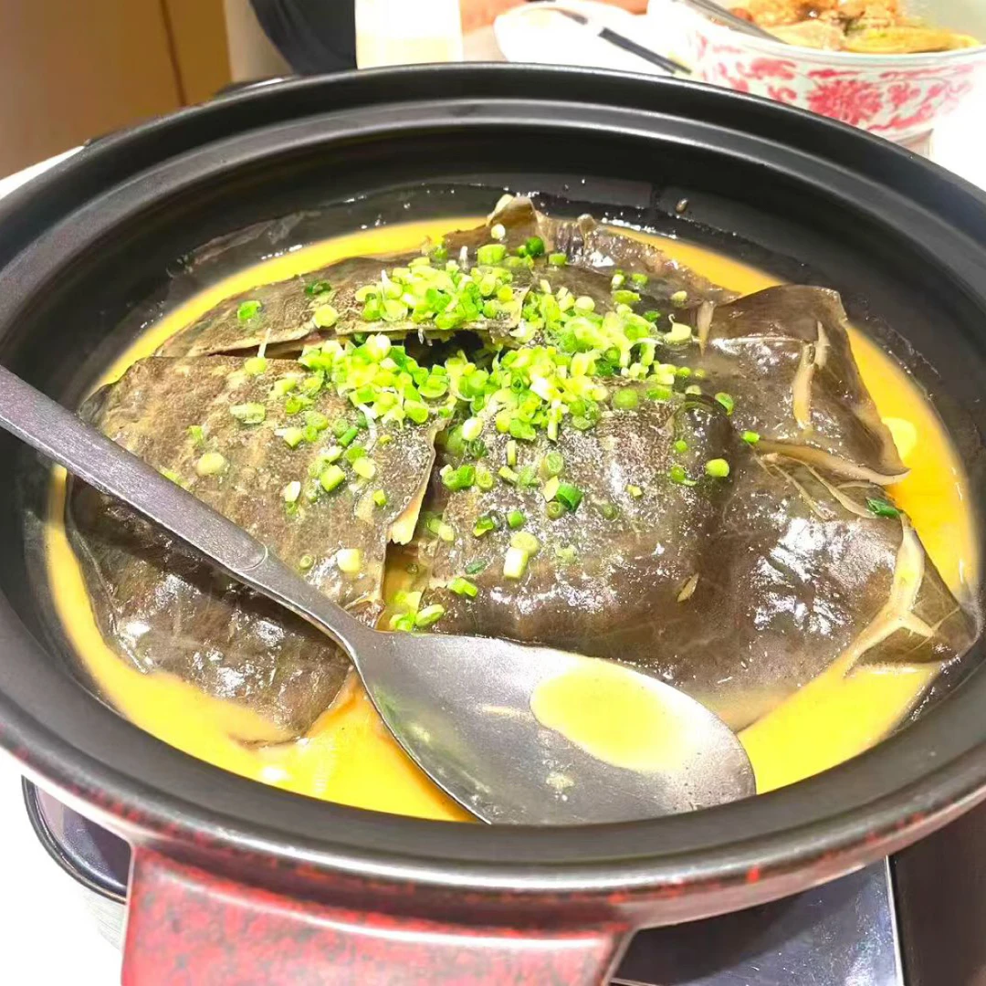常德汉寿生态王八水鱼大甲鱼鲜活食用营养汉寿甲鱼批发餐饮家庭