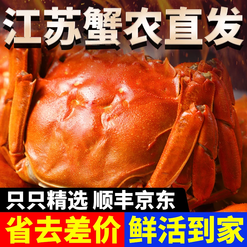 送2只【活蟹】全母蟹1.7-2.0两  6只/8只/10只 顺丰京东包邮 洪泽湖螃蟹 蟹农直发河蟹鲜活精选现捞现发精品