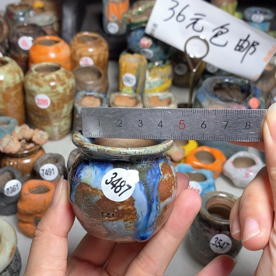 拍5送一个小礼物