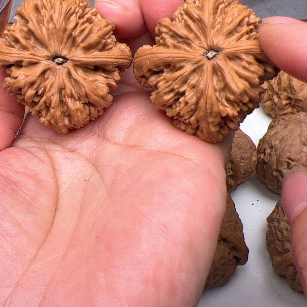 文玩核桃把件◎****ヽ虎头王41红