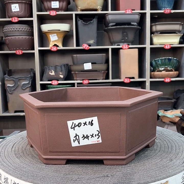 紫砂花盆紫砂的花也太