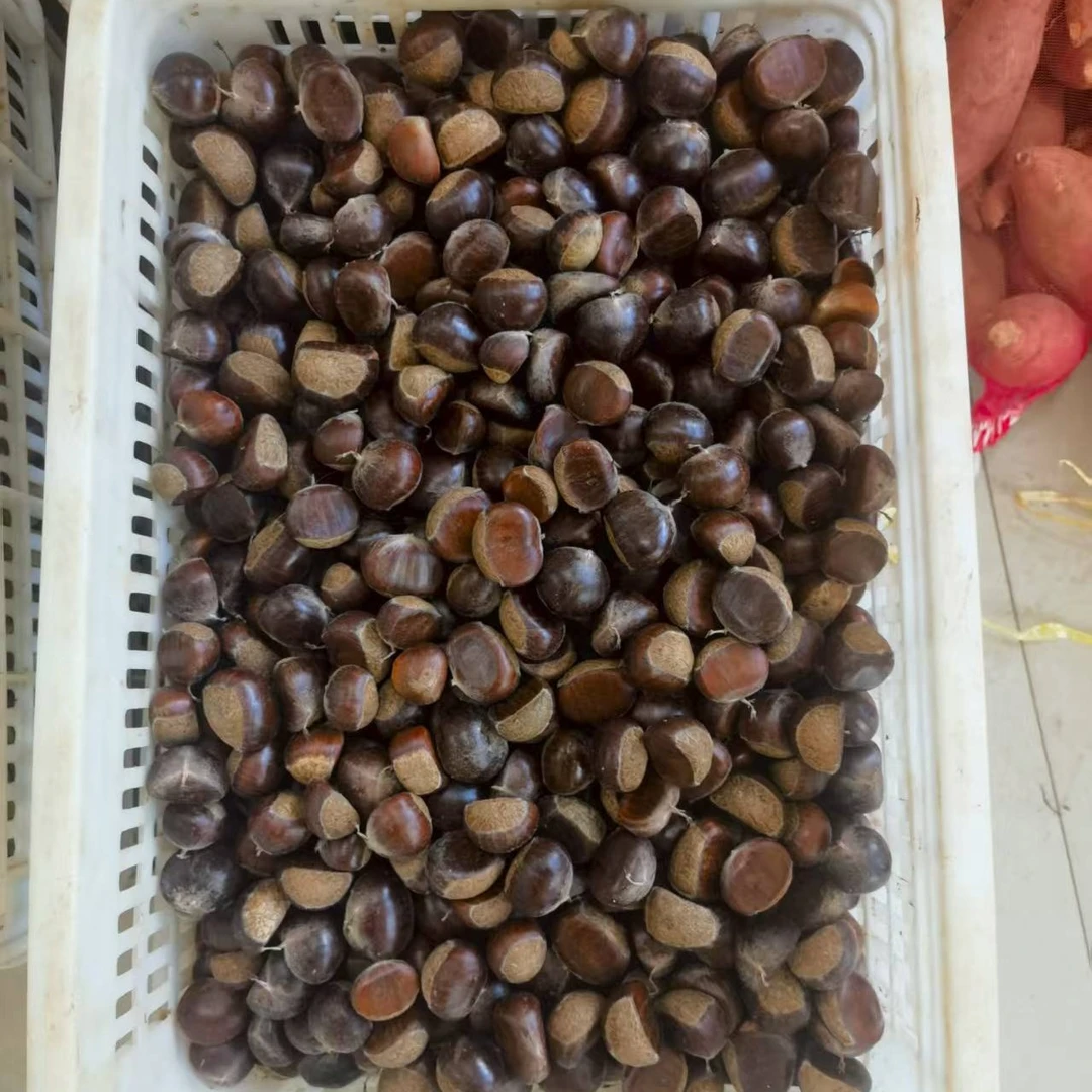 深山新鲜皮薄山栗子