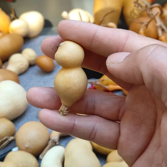 鲁***室葫芦娃娃娃娃娃娃娃娃