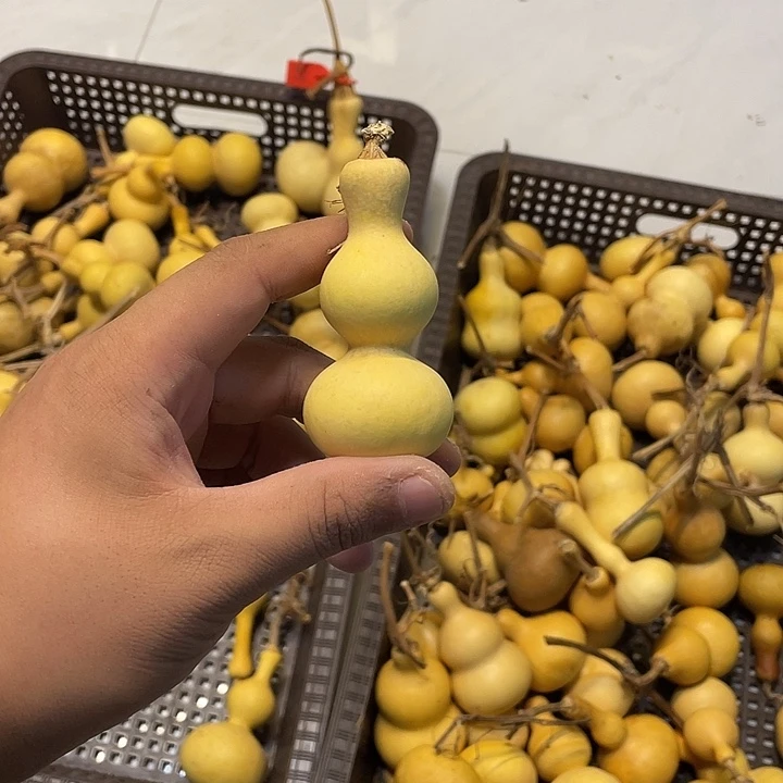 小***昊感谢大哥支持 爱你