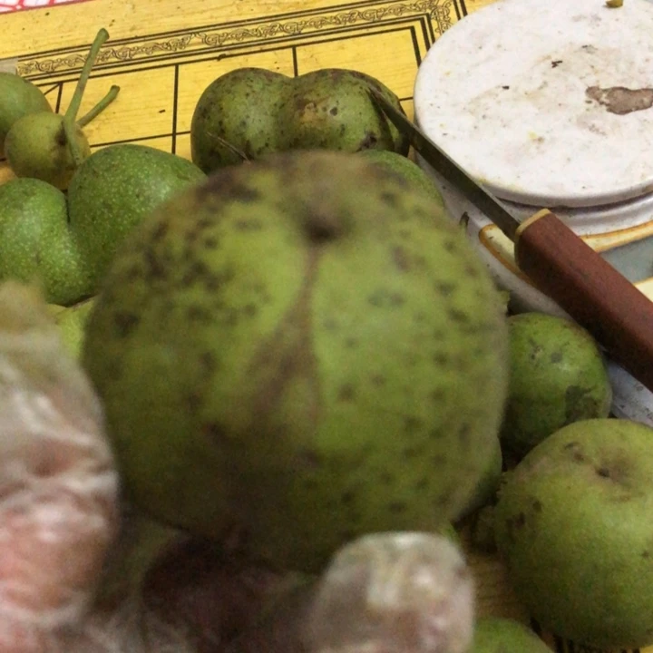 本**安文玩核桃官帽