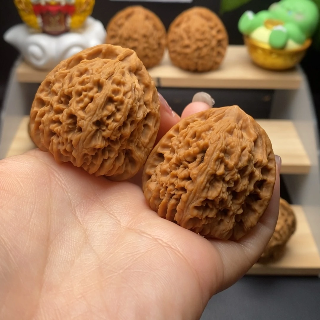 19（41-41-41）全家福高炮