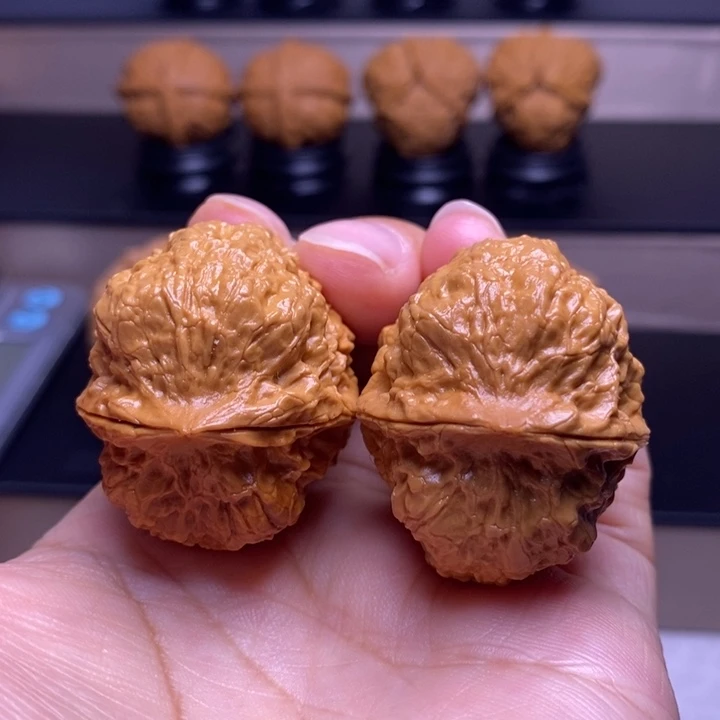 把件文玩核桃刺甲苍龙51