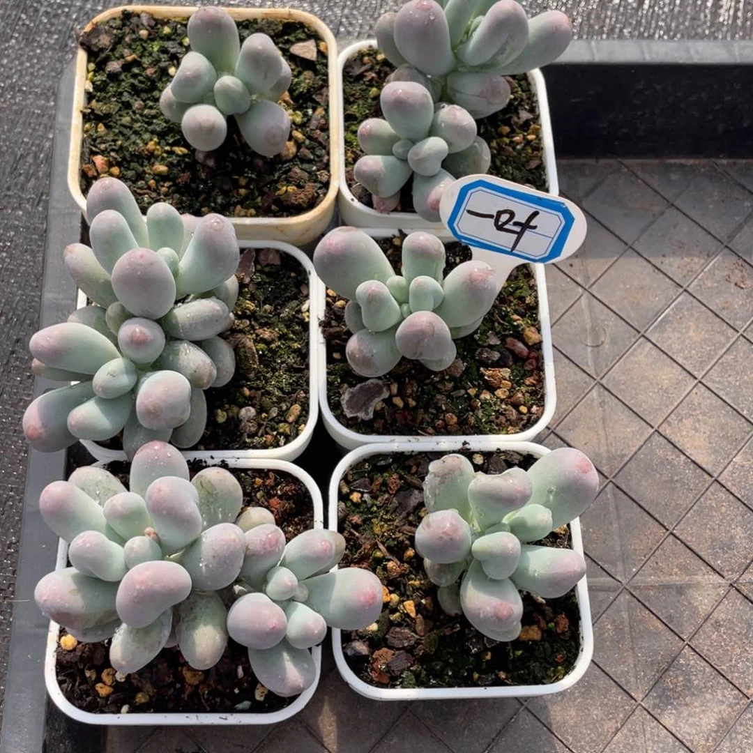 一****q姐姐说她真的有男朋友没