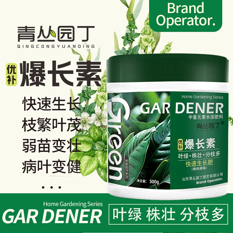 青丛园丁优补爆长素家庭盆栽绿叶株壮分枝多弱苗变壮枝繁叶茂通用