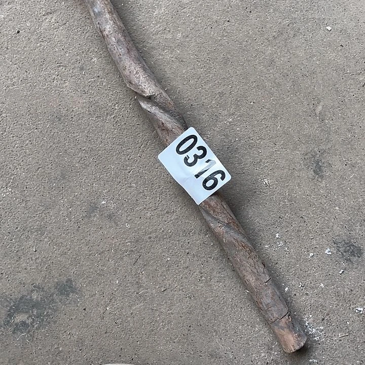 香榧木佬*木头的小316