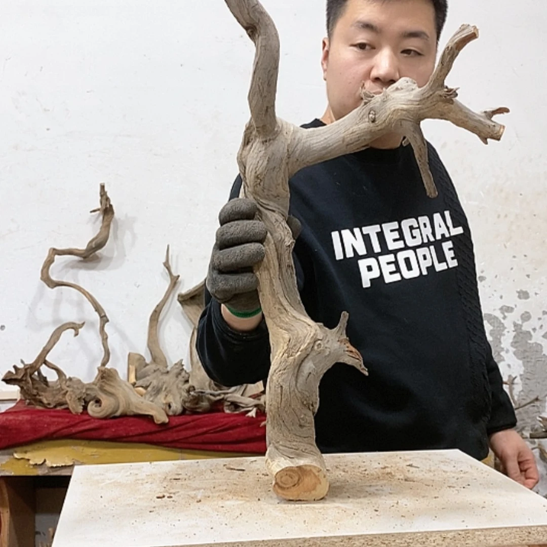 【闪购商品】柏木杨****目我们都是好孩子