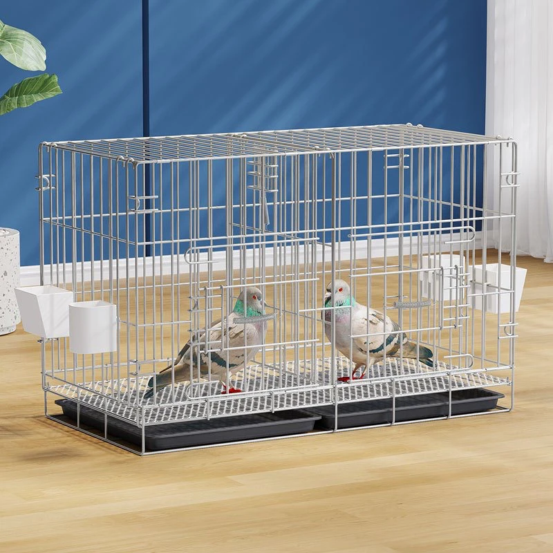 鸽子直播间鸽子专属链接（以实际商品为准）