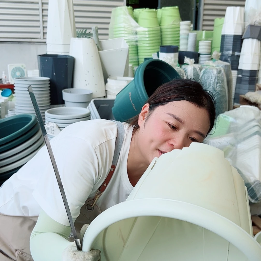 青山盆6#米白色5个无托