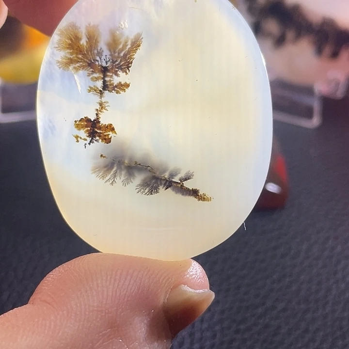 武***话玛瑙/玉髓未镶嵌颈饰