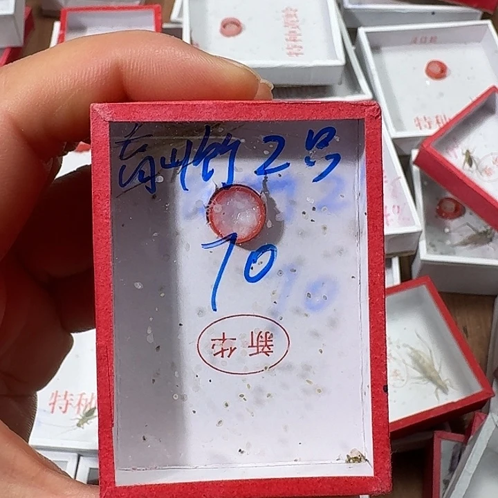 牛***r蟋蟀2222222222222222222