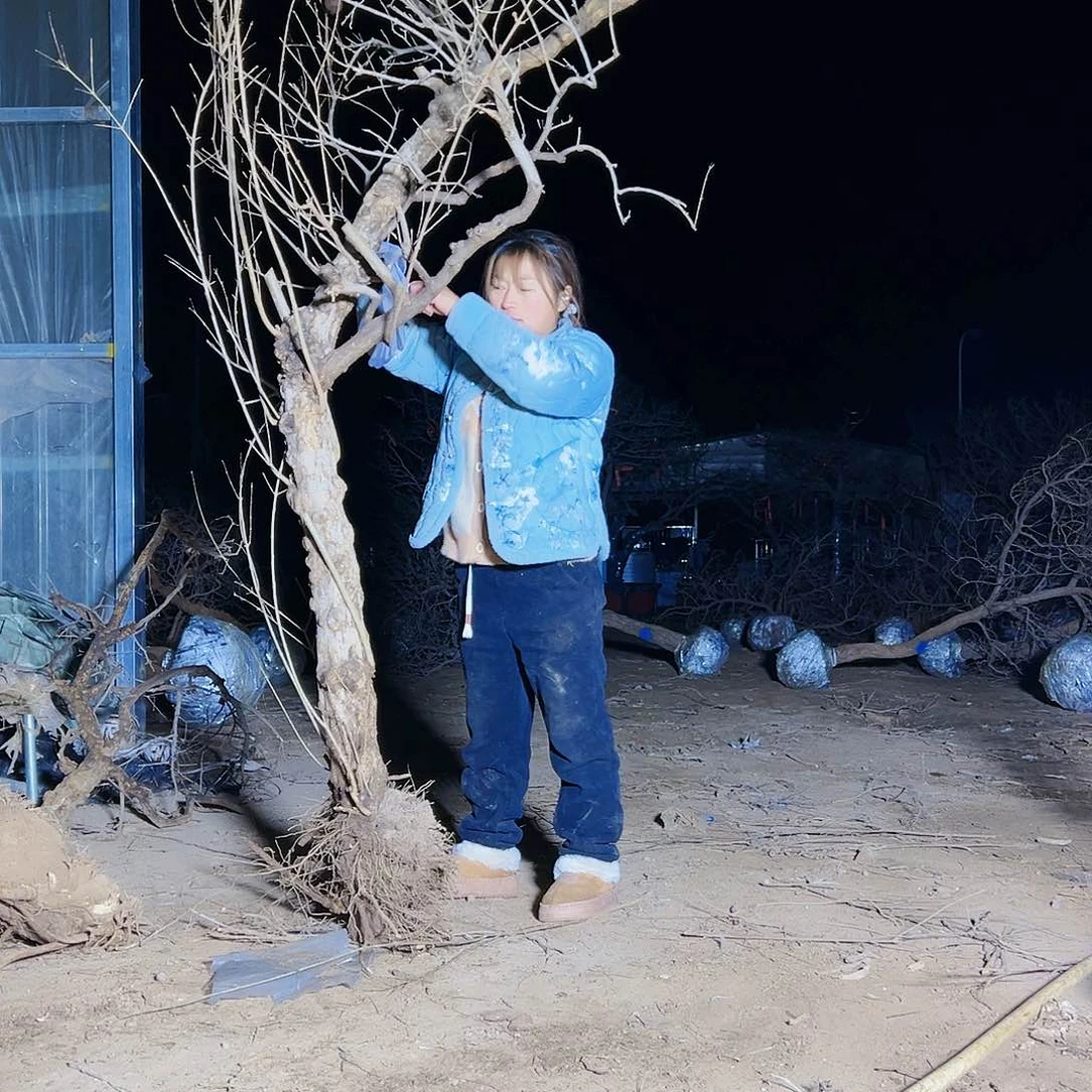 无花朵健健康康快快乐乐