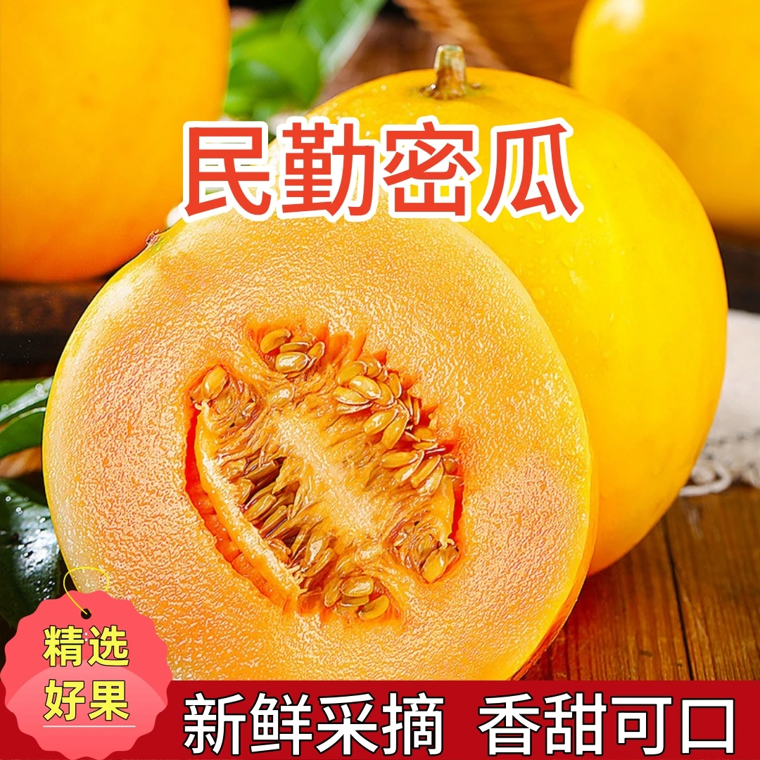 甘肃民勤沙漠黄河蜜瓜香甜多汁新鲜水果产地直发