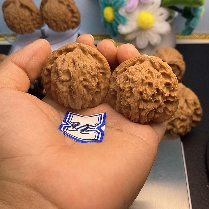 把件文玩核桃41白狮子（水尖）