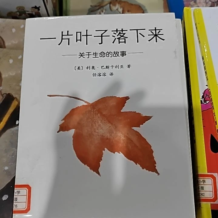 一片叶子落下来关于生命的故事