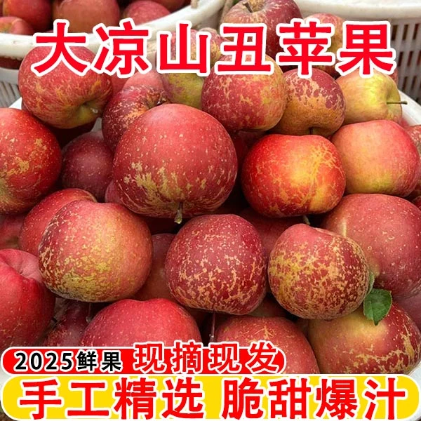 【产地直发】正宗四川大凉山盐源丑苹果糖心爆甜多汁脆甜新鲜整箱